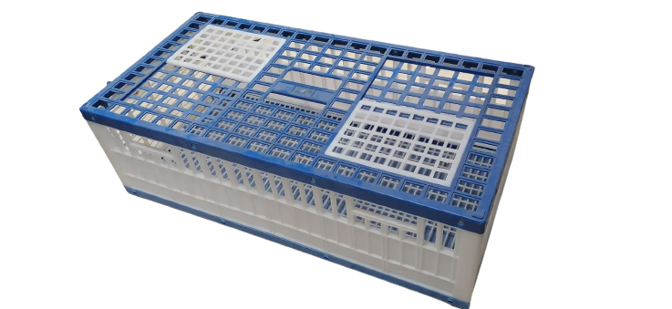 Pigeon Basket White & Blue 80x40x25 cm