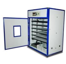 [1056149] 1056 Eggs Incubator