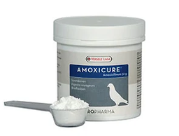 [480537] Amoxicure 120 Gm
