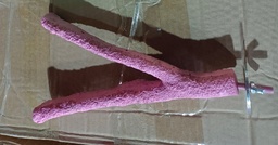 [69012105902PK] Big Y Shape Sand Perch Asstd. Color 20cm Pink