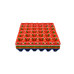 [1158202025115] Plastic Egg Tray Green