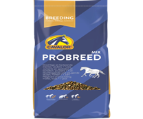 [472326] Probreed Export 20kg