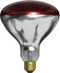 [860311] Warm lamp For Chicken