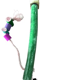 [15195] Parrot Perch D5,L45 Green