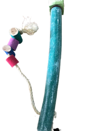 [15196] Parrot Perch D5.5,L50 